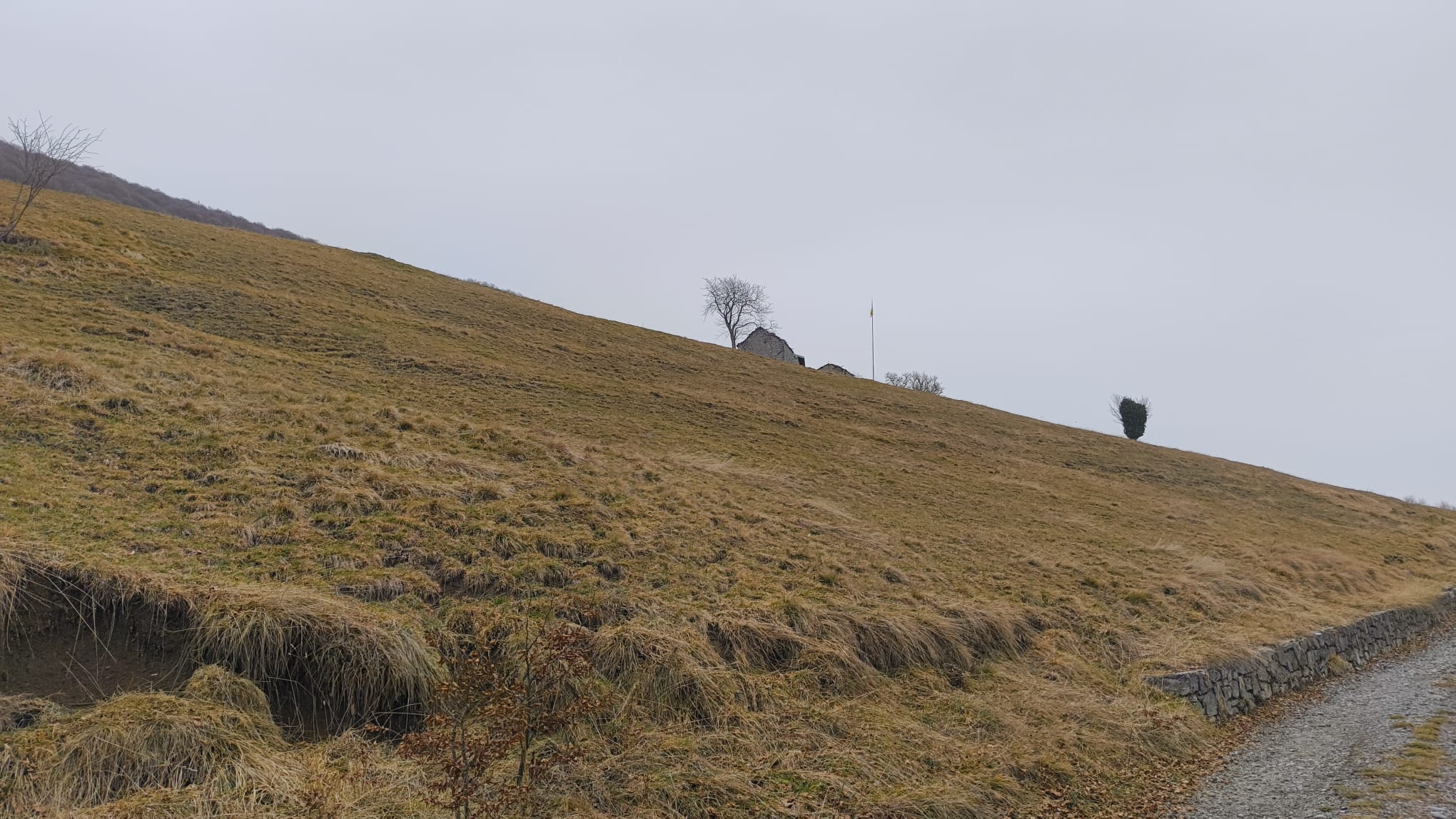 Foto n° 3 del trekking Tre Faggi │ Fuipiano